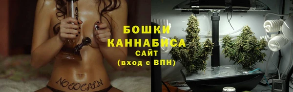 дурь Елабуга